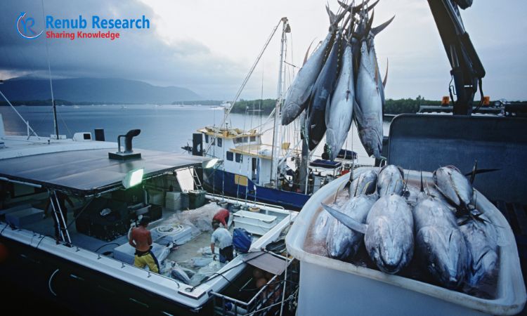 Tuna Fish Market