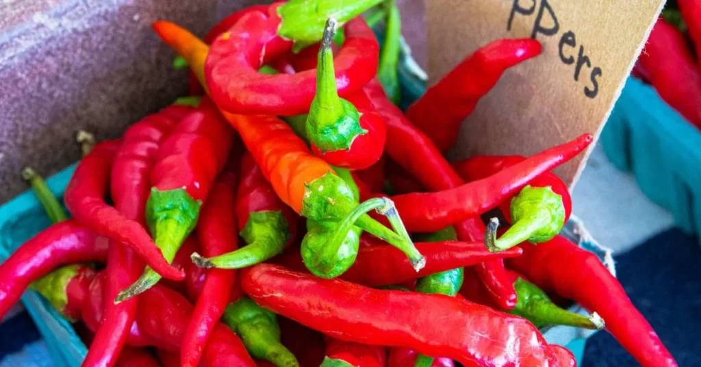 Exploring the Benefits, Uses, and Side Effects of Red Chilli