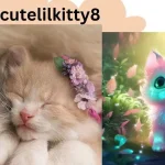 CuteLilkitty8: A Portrait of an Online Sensation