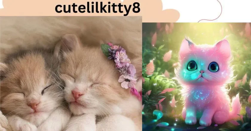 CuteLilkitty8: A Portrait of an Online Sensation