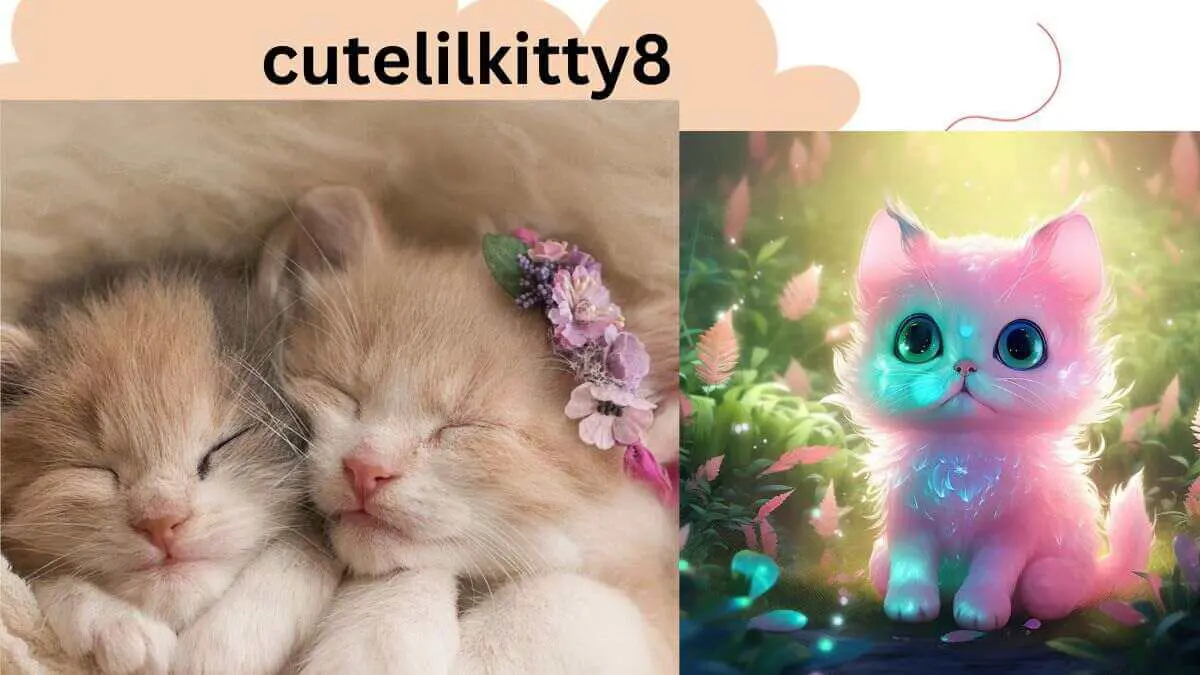 CuteLilkitty8: A Portrait of an Online Sensation