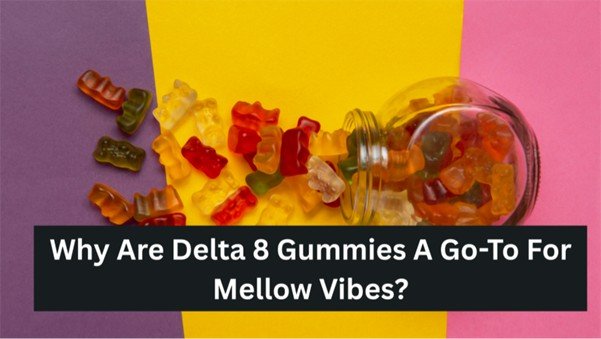 Why Are Delta 8 Gummies A Go To For Mellow Vibes