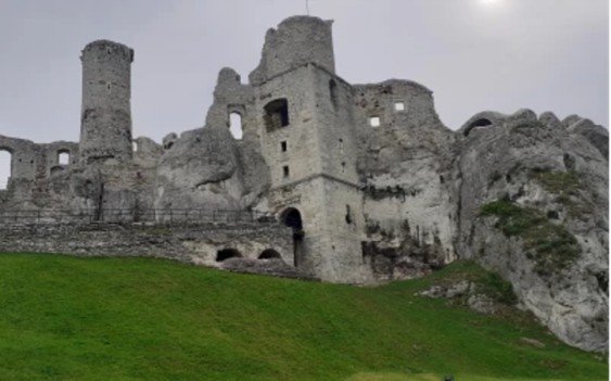 Classic and Thematic Tours